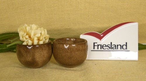 Friesland ceracron heidelberg - friesland,