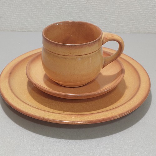 Friesland melitta ceracron - friesland,