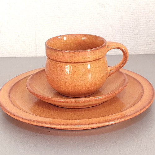 Friesland melitta ceracron - /,